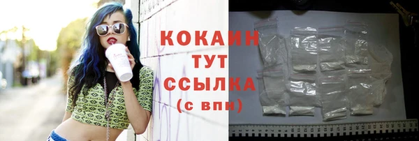 ПСИЛОЦИБИНОВЫЕ ГРИБЫ Магас