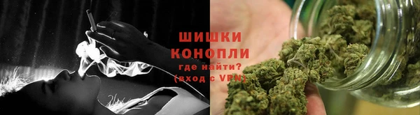 ПСИЛОЦИБИНОВЫЕ ГРИБЫ Магас