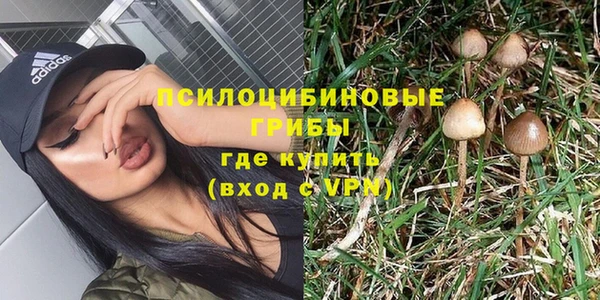 твердый Майский