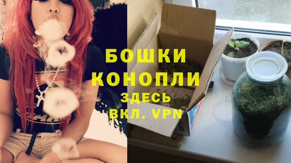 твердый Майский